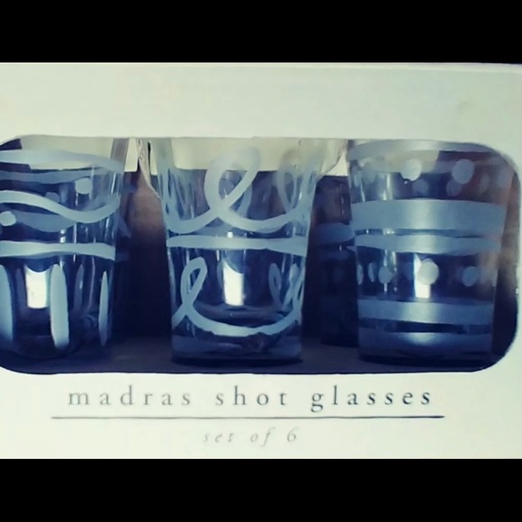 NIB Pier One Etched Glass Verres a Rasades Madras